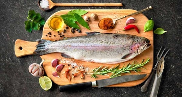 ماهی-در-طب-سنتی