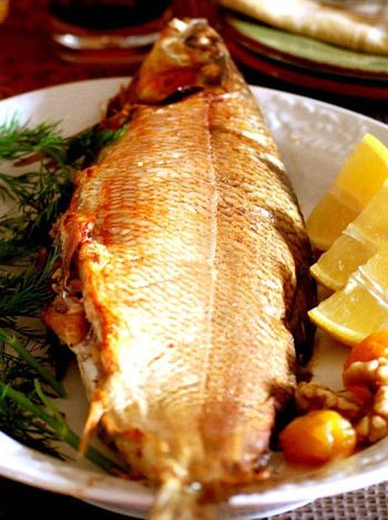 ماهی-سفید-شکم-پر